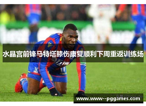 水晶宫前锋马特塔膝伤康复顺利下周重返训练场 水晶宫前锋马特塔膝伤康复顺利下周重返训练场