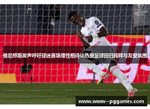 维尼修斯发声呼吁球迷赛场理性相待让热爱足球回归纯粹与友爱氛围