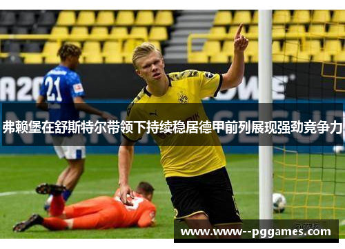 弗赖堡在舒斯特尔带领下持续稳居德甲前列展现强劲竞争力